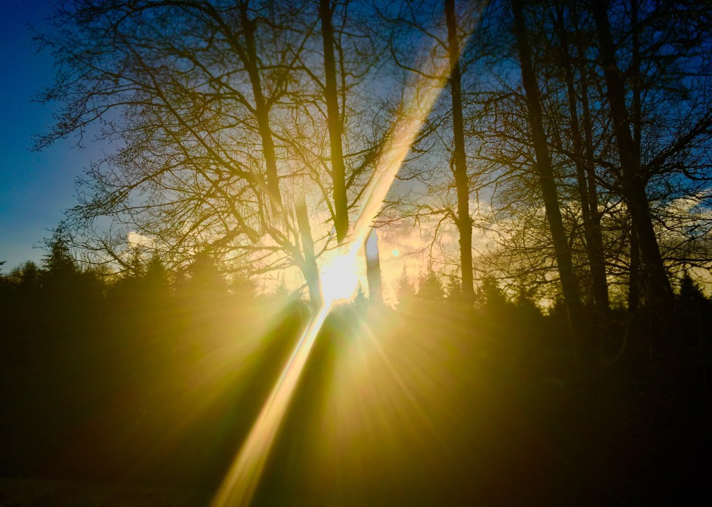 our apocalypse of happiness. 