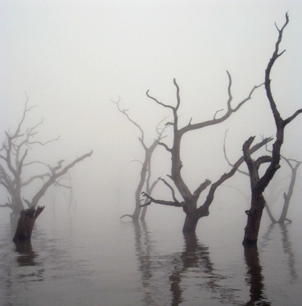 Realm History: Magnus and&nbsp;Ragnar